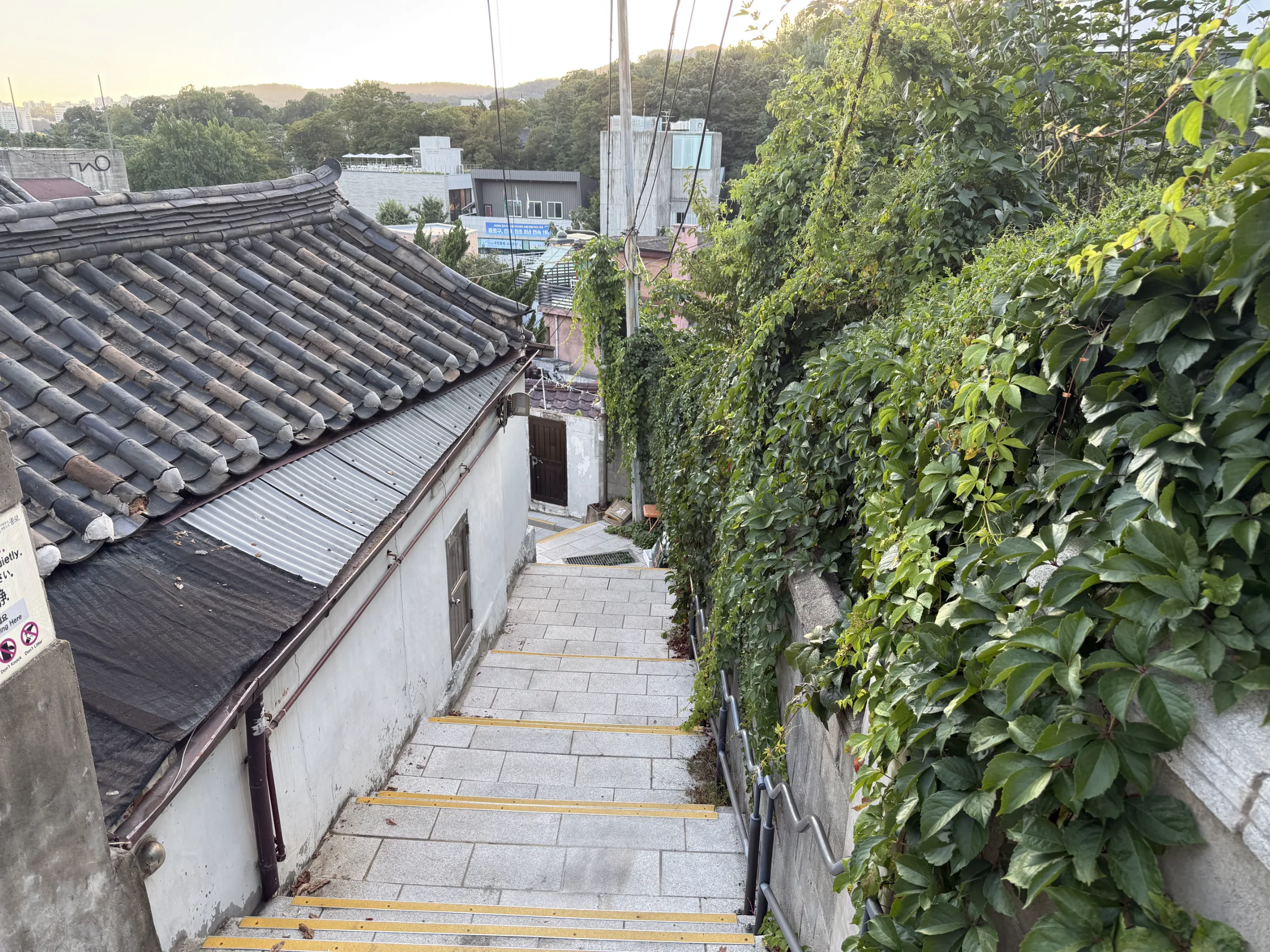돌계단과 기와지붕, 초록 덩굴