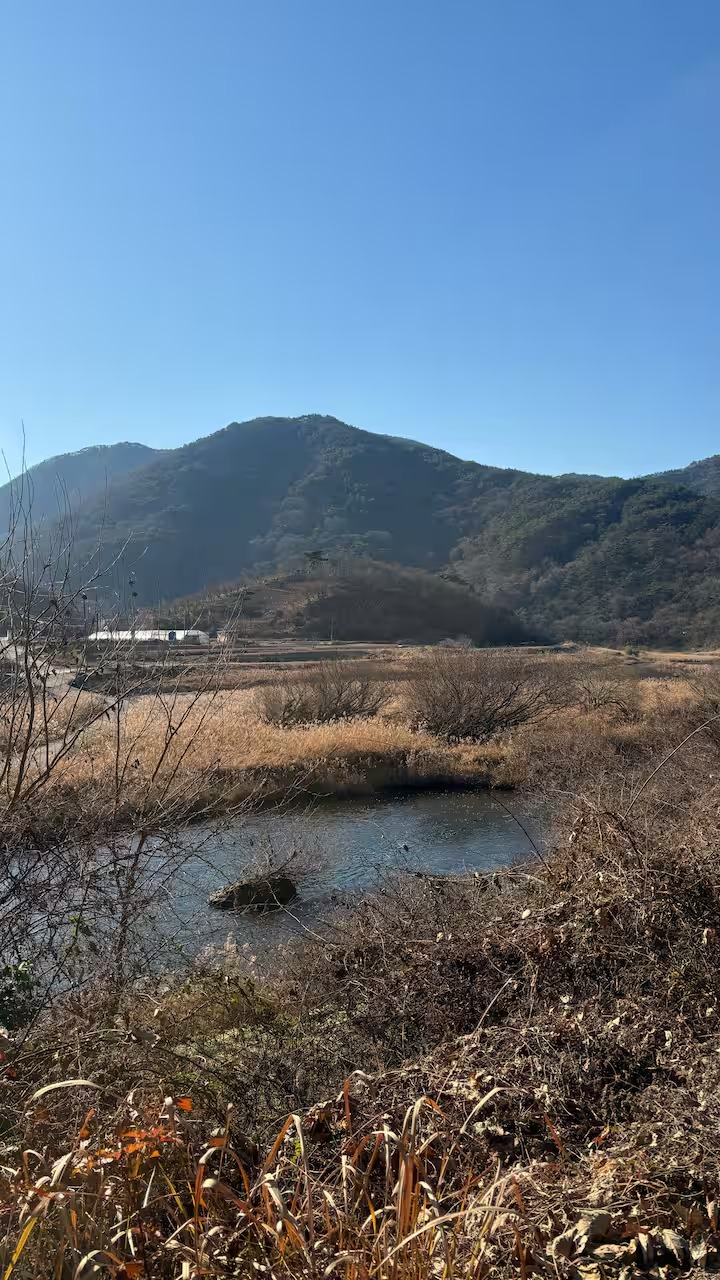 맑은 하늘 아래 작은 연못이 있는 산 풍경